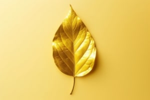 金色の葉