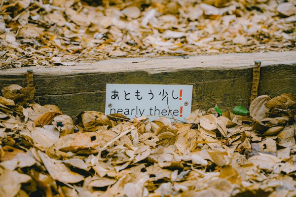 ピクニック