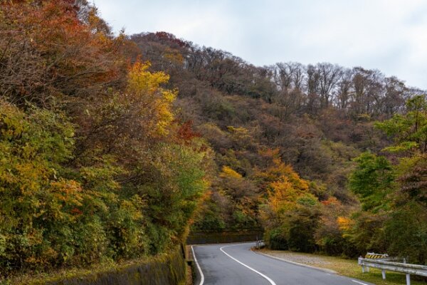 芦ノ湖
