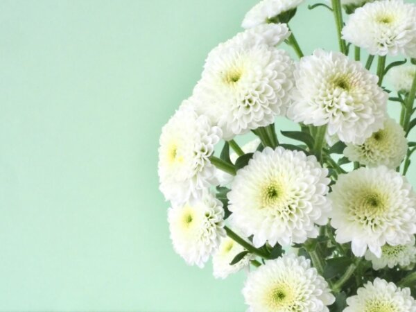 秋彼岸のお供え花2
