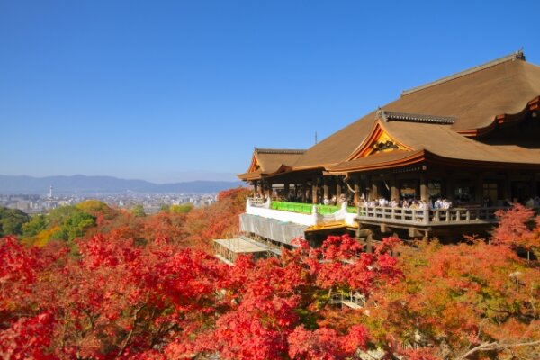 紅葉狩りの楽しみ方1