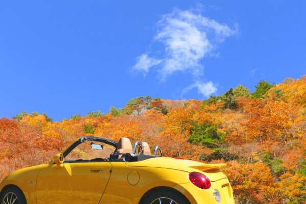 紅葉狩りの楽しみ方7