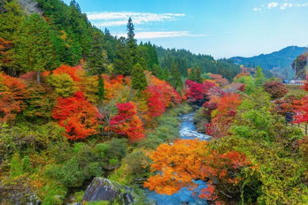 紅葉狩りの楽しみ方8