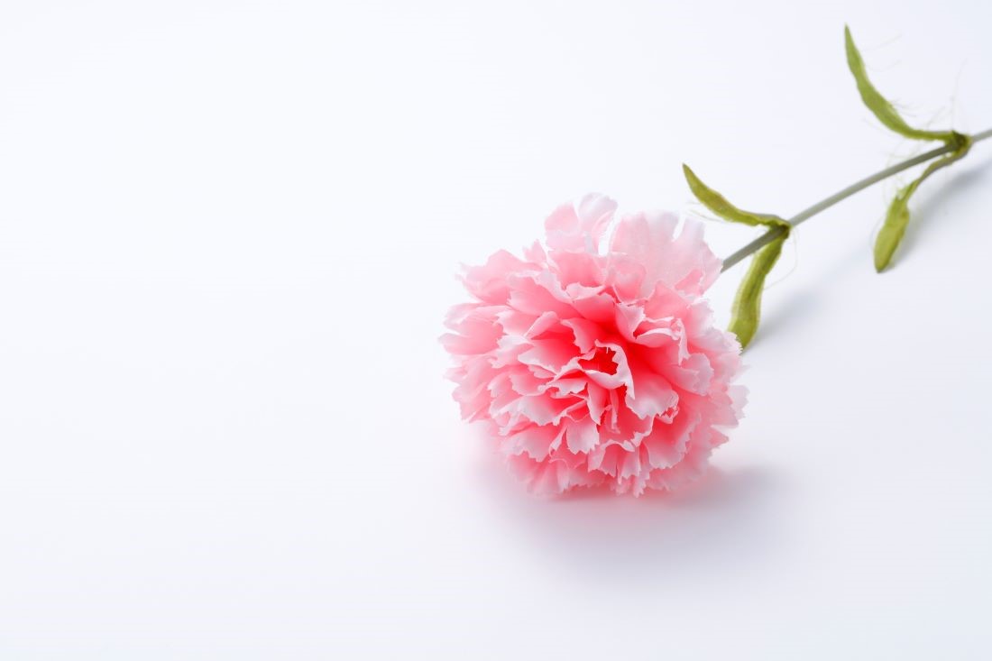 img-article-1